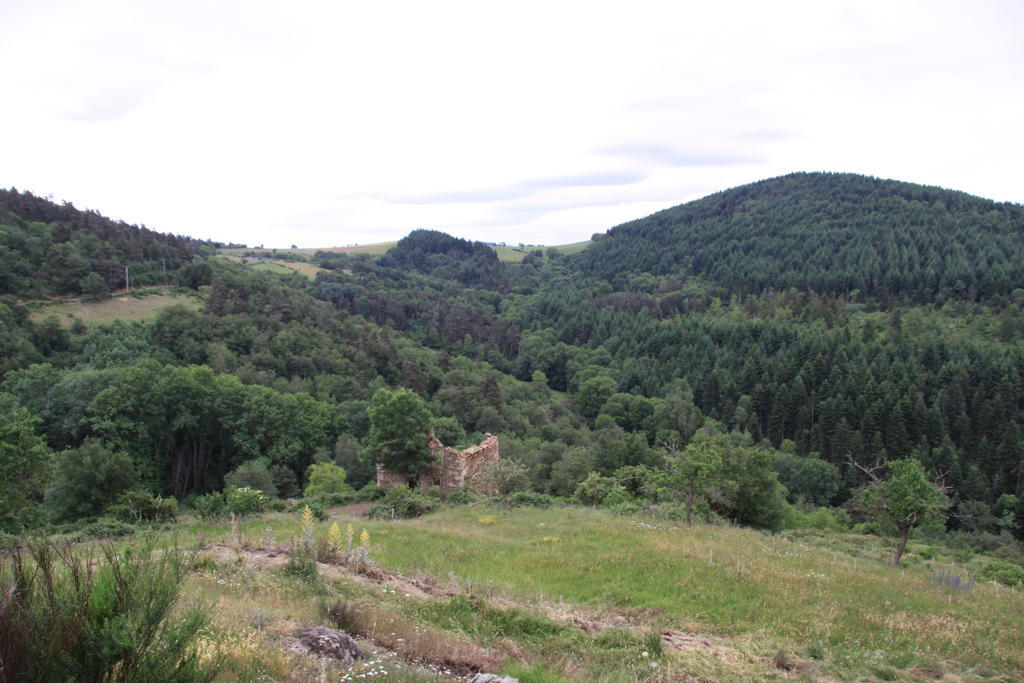Gite Chez Coste Gilles Saint-Privat-du-Dragon ภายนอก รูปภาพ